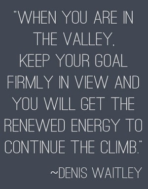 When you are in the valley, keep your goal firmly in view and you will get the renewed energy to continue to climb. - Denis Waitly