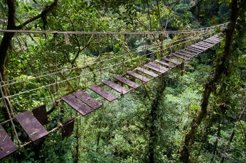 Old suspension bridge in rainforest of Costa Rica