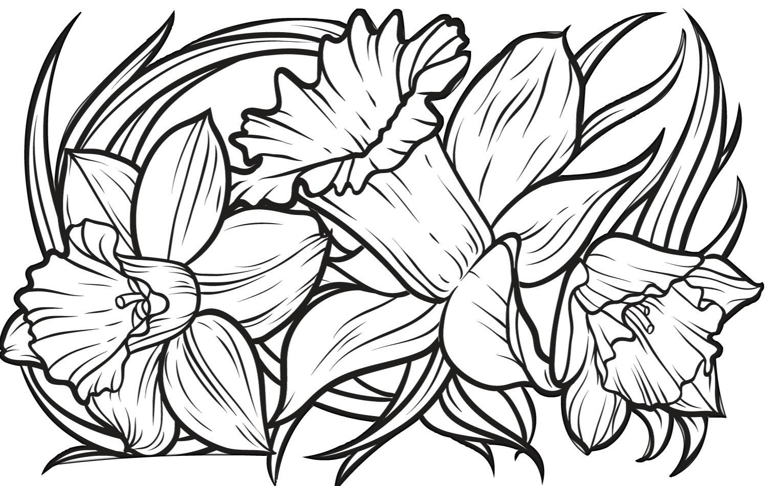 Free Printable Coloring Pages For Seniors With Dementia PRINTABLE 