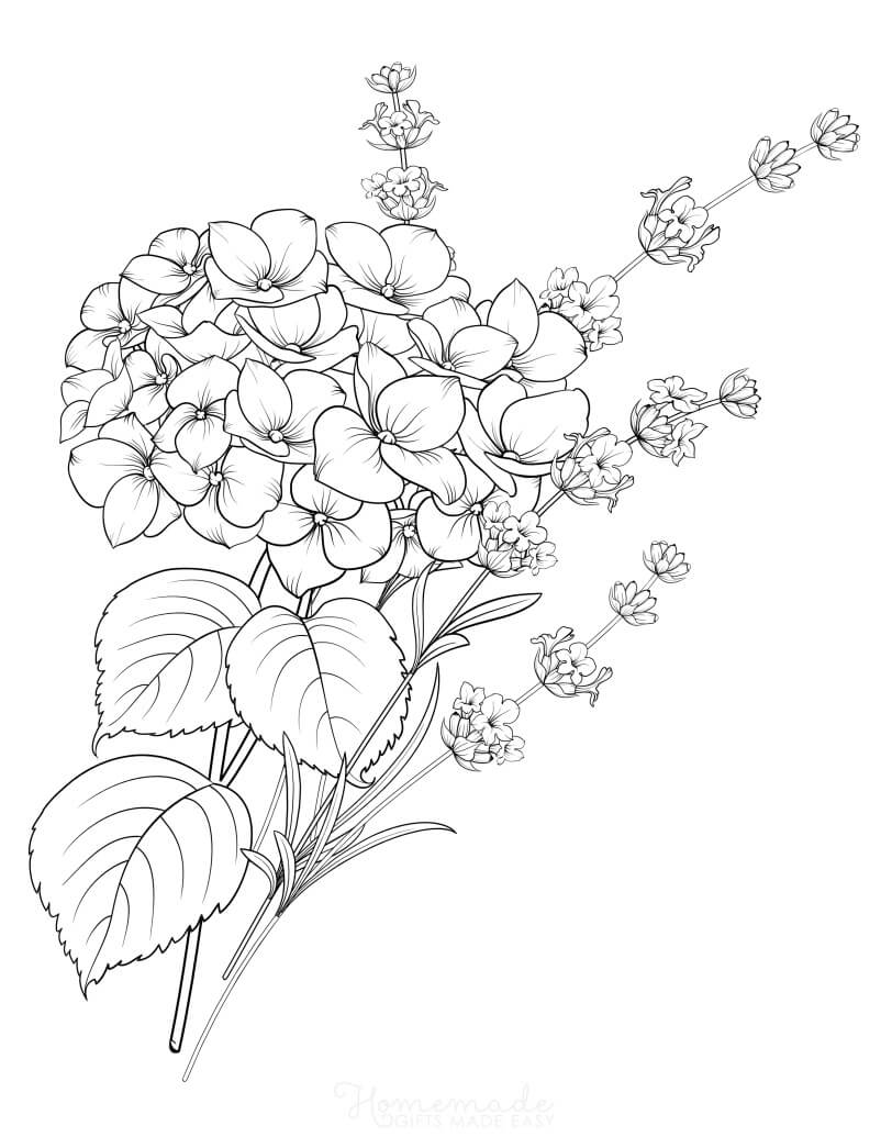 realistic sunflower coloring page