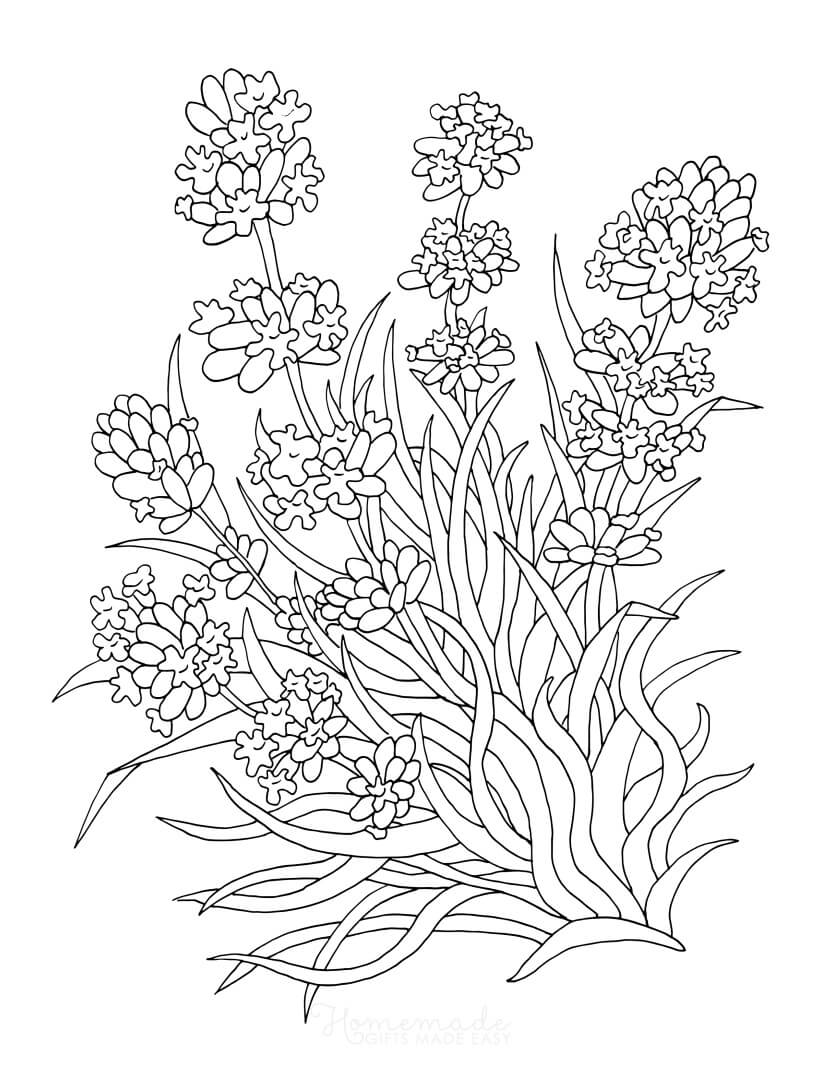 cute printable flower coloring pages