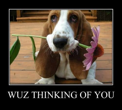 77 Funny Thinking of You Memes and Images for That Special Person   Thinking of you meme, Thinking of you quotes, Just thinking about you