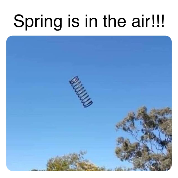 meme about spring | meme | funny meme spring