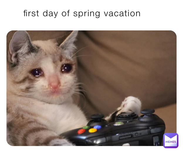 spring meme | funny memes | spring