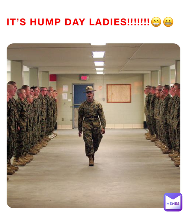 what is hump day | funny memes | its wednesday memes